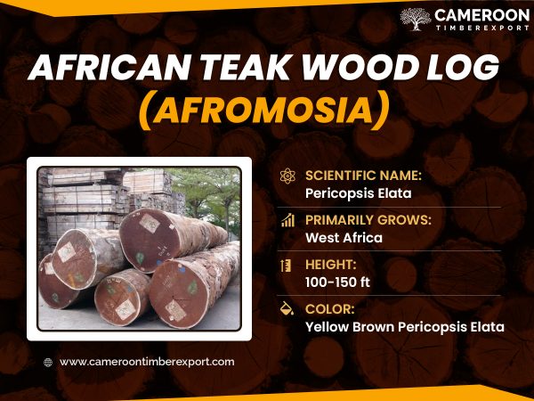african teak wood log