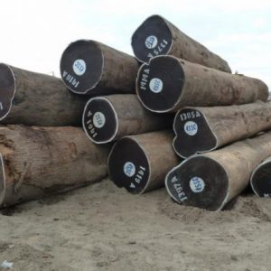 Wenge Round Logs