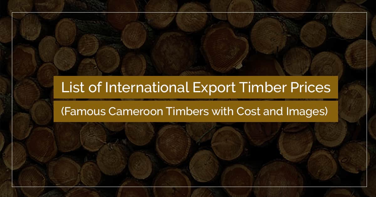 export timber prices