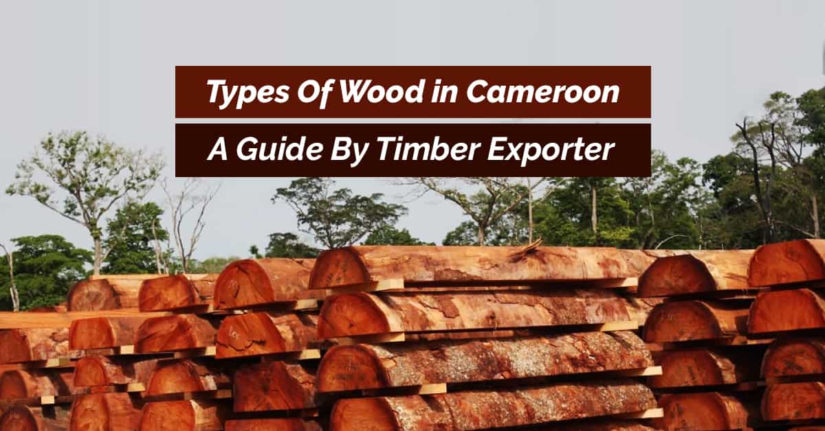 types of wood in Cameroon