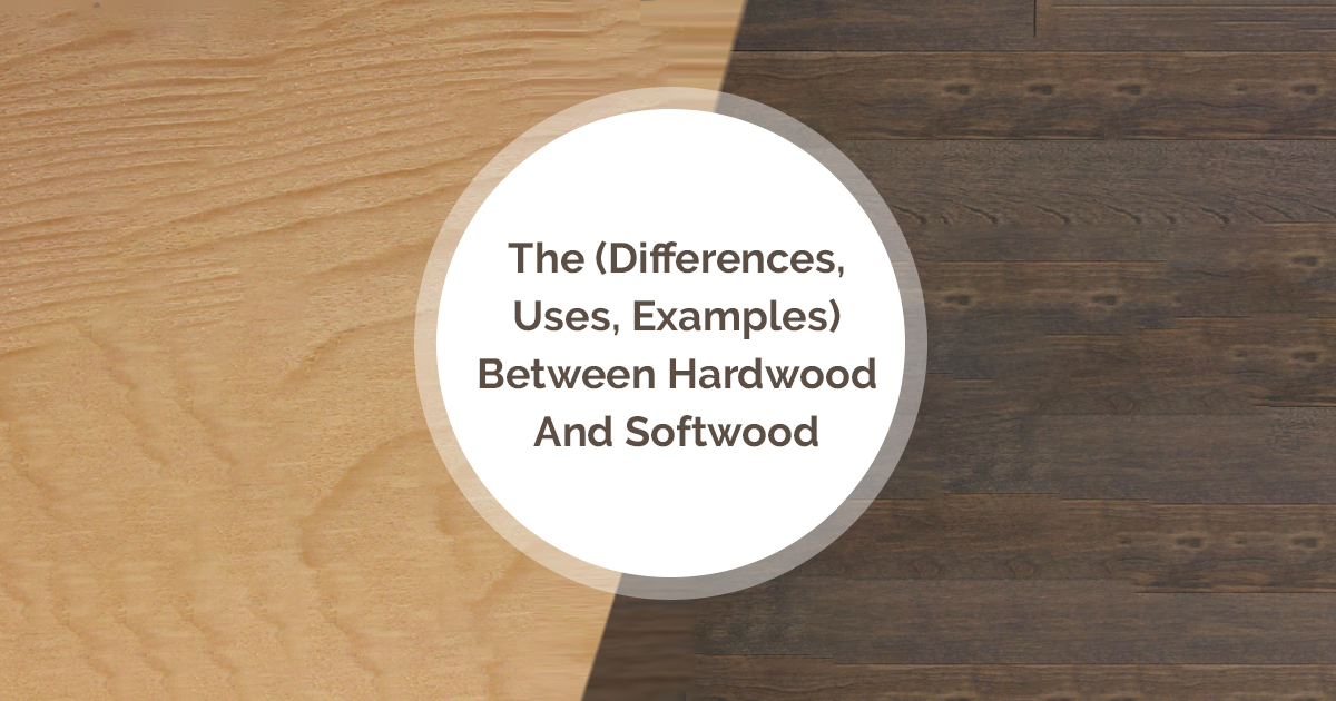 The Differences Between Hardwood And Softwood