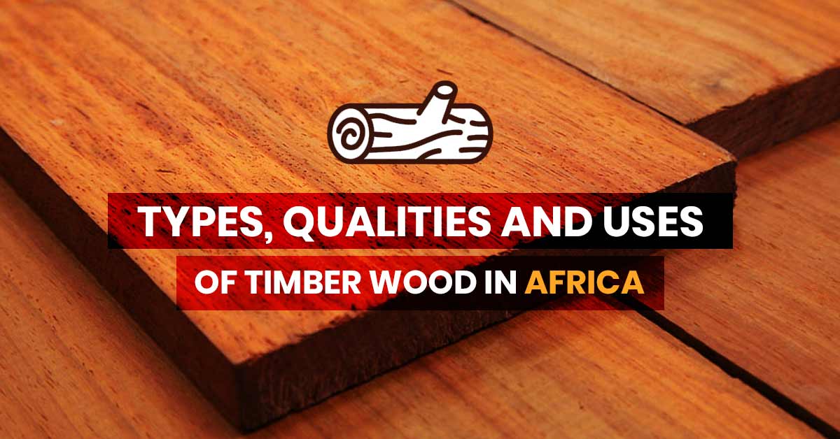 Types of Timber Wood