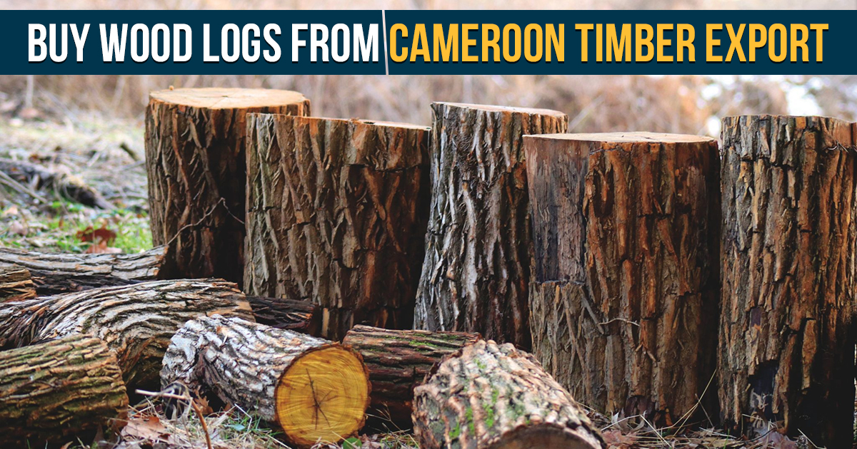 Buy wood logs