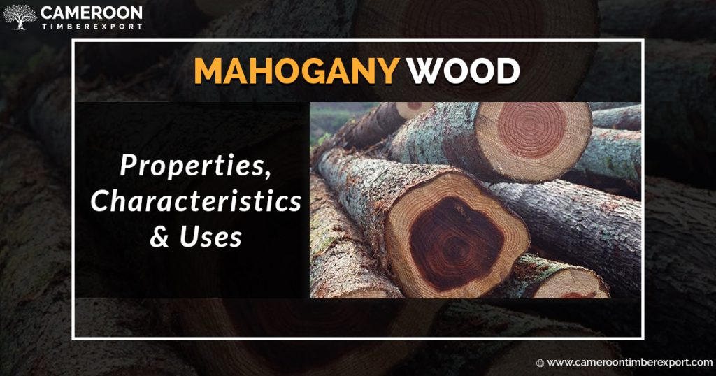 Mahogany is a world-class wood species