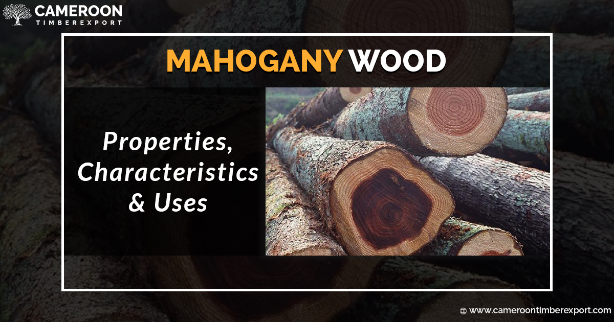 Mahogany Wood and its features