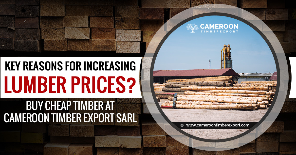 reasons for increasing lumber prices