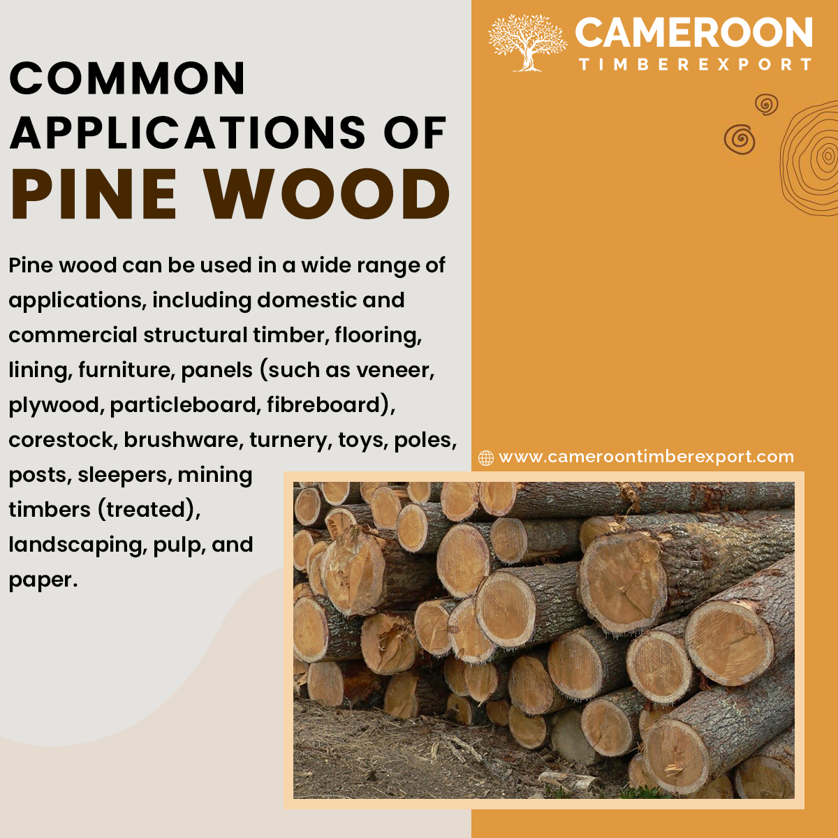 common uses of pine wood