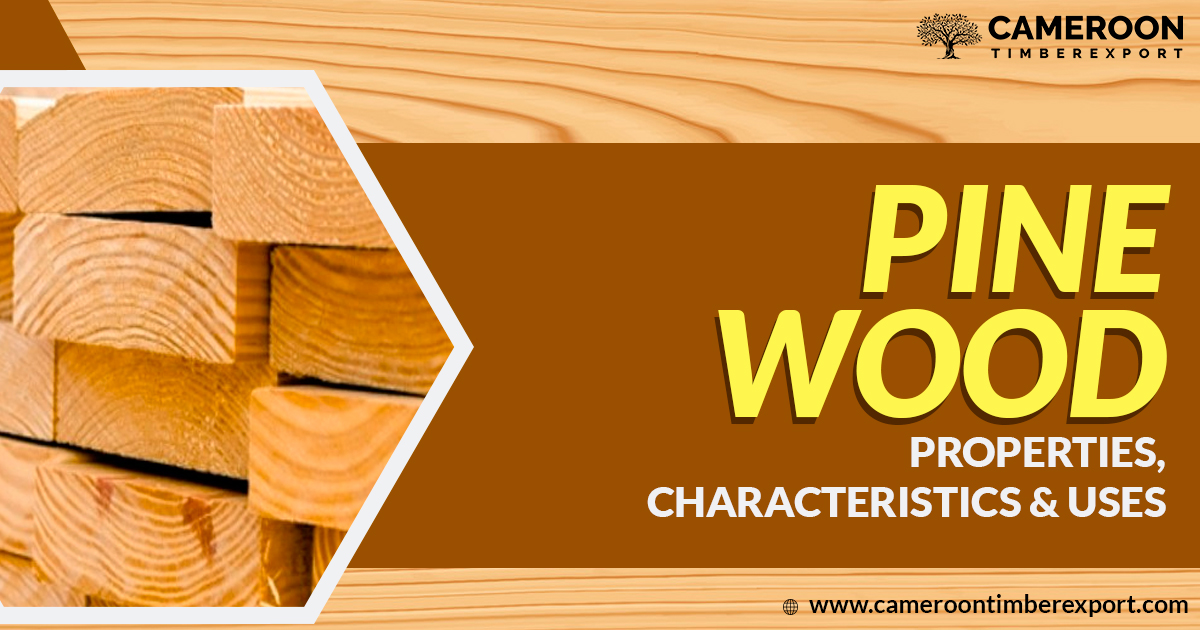 pine wood properties and uses