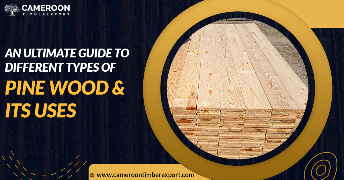 types of pine wood