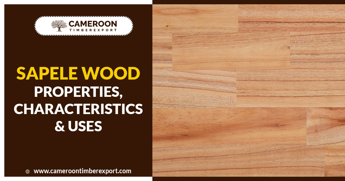 sapele wood