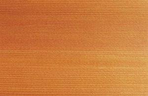 cedar