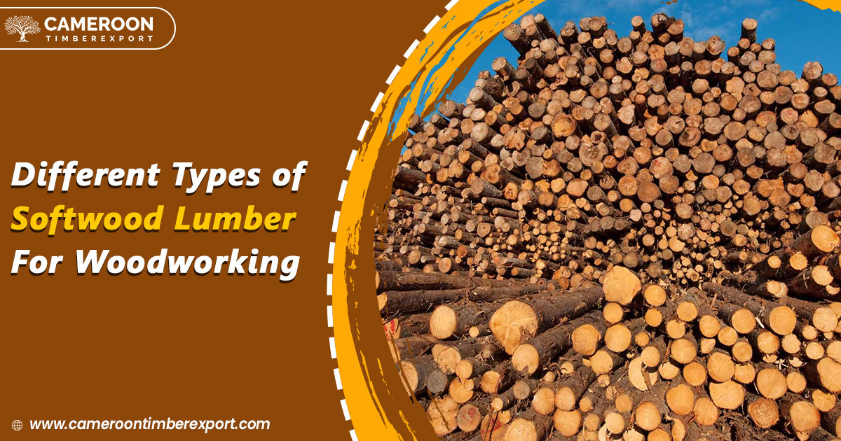 types of softwood