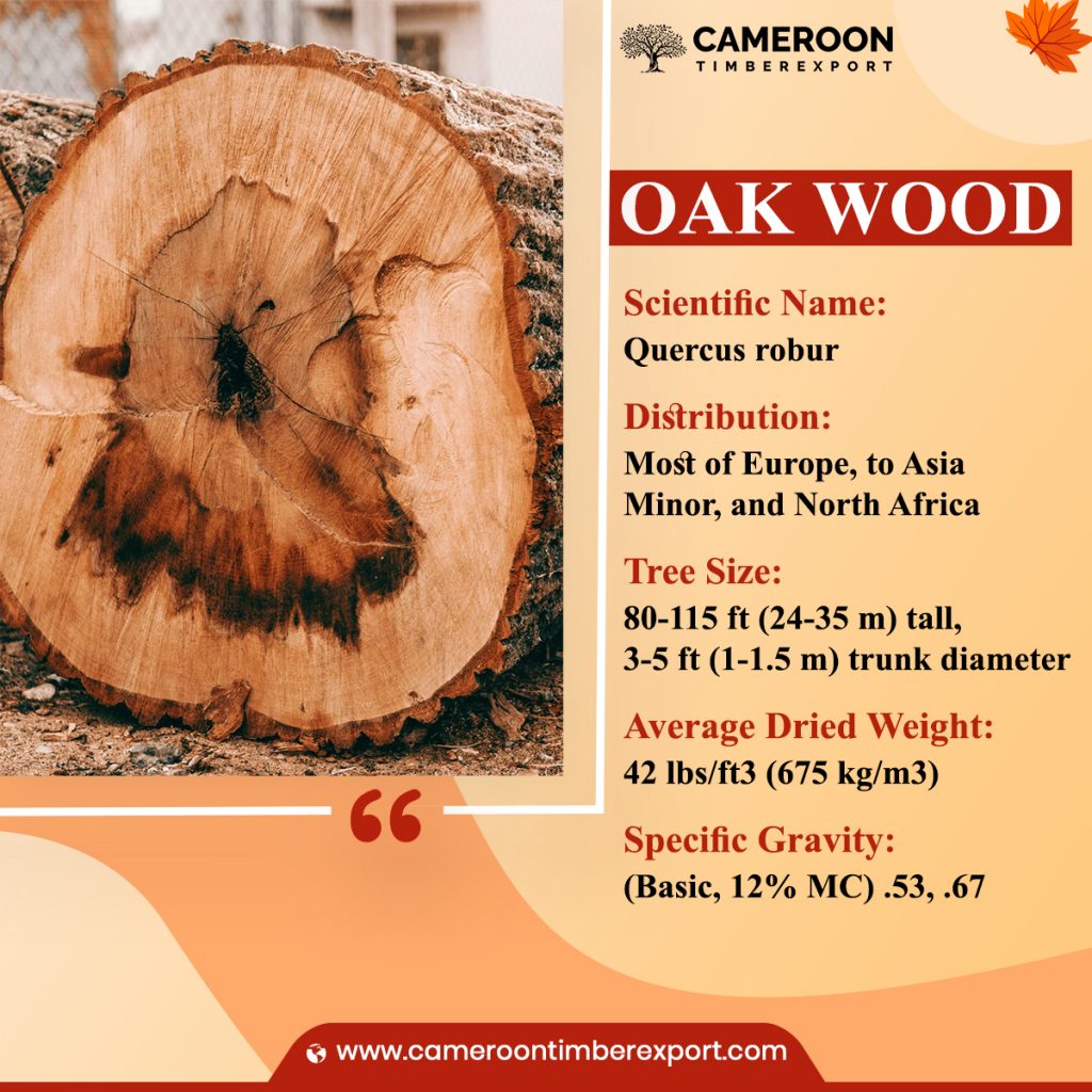 oak wood