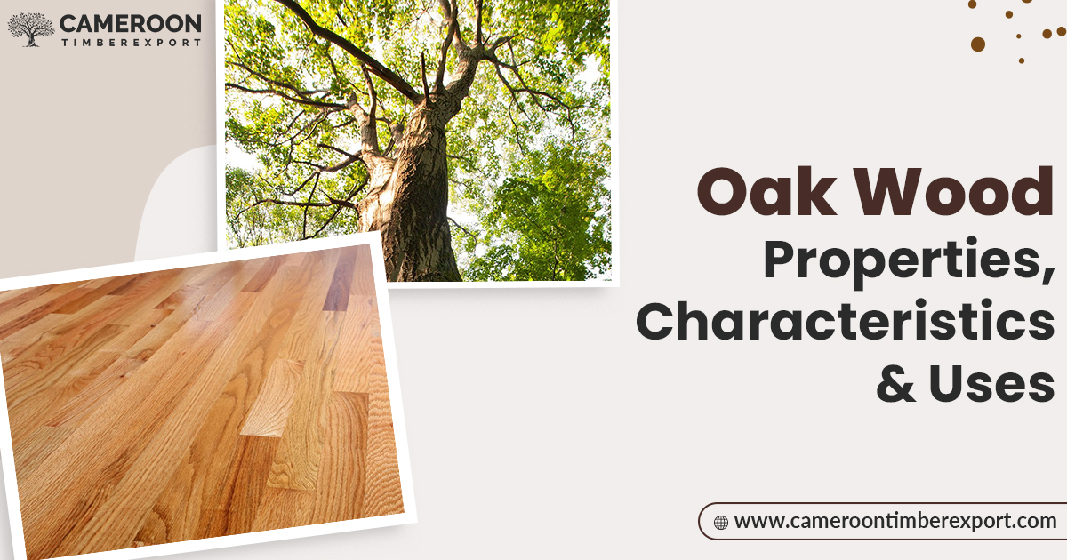 oak wood properties characteristics and uses
