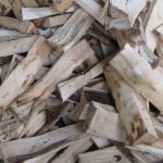 agar wood is also one of the costliest wood in the world
