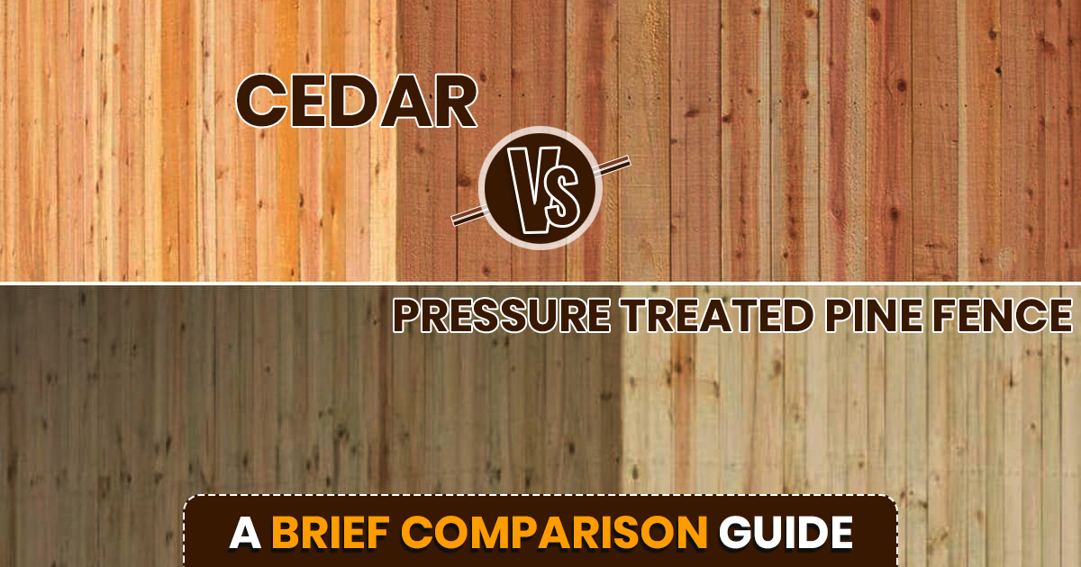 cedar vs pine fence
