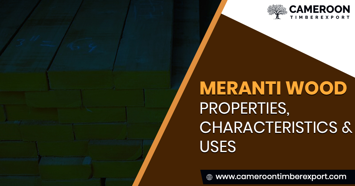 properties of meranti wood