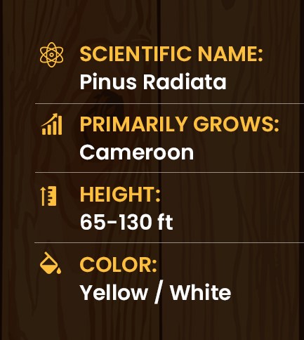 pine wood