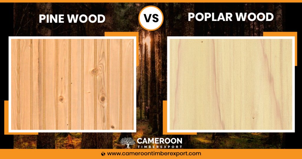 pine vs poplar wood