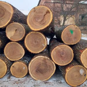 oak wood
