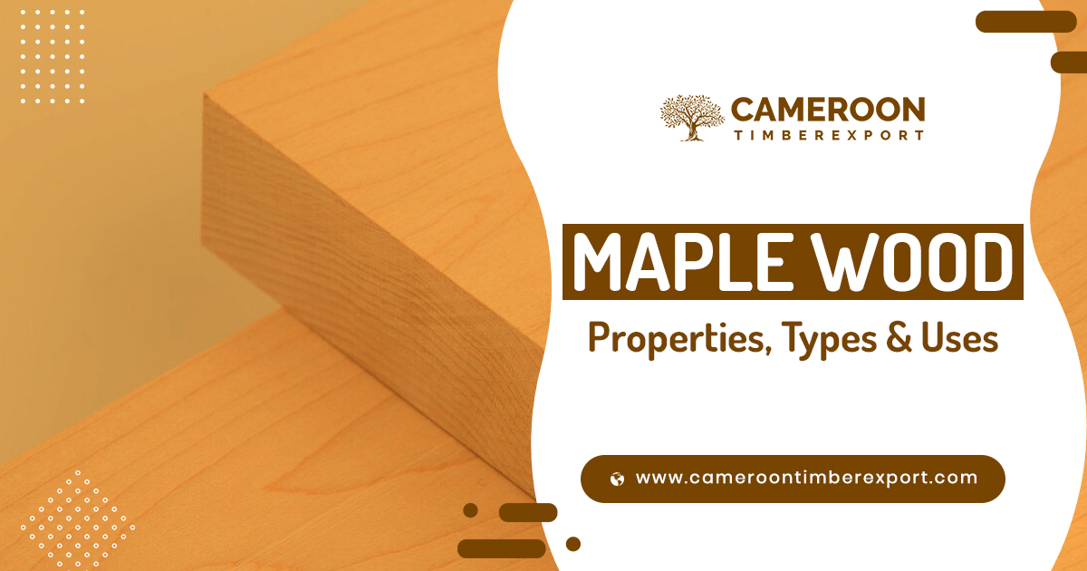 Maple Wood Properties