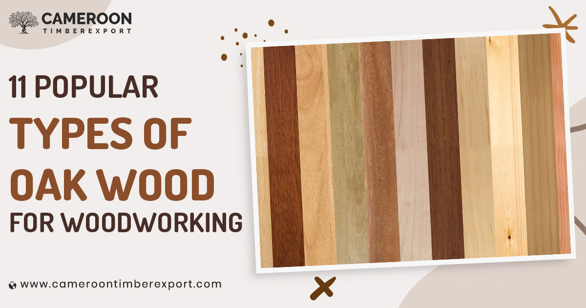 oak Wood Types