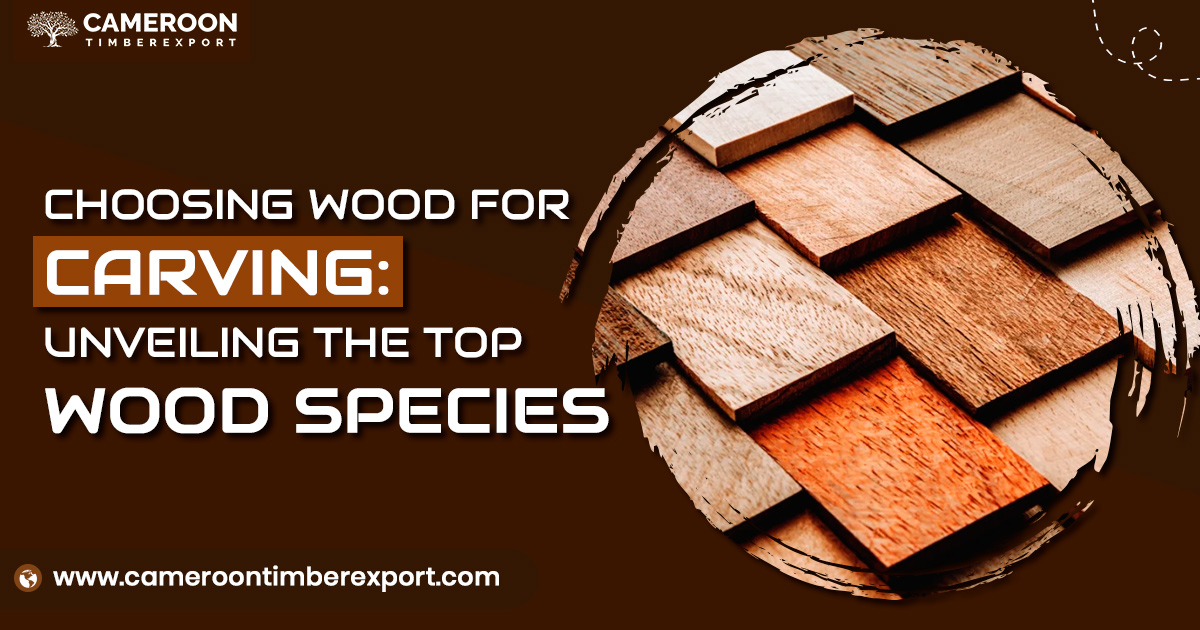 wood for carving