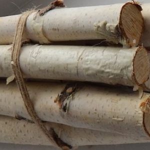 birch wood