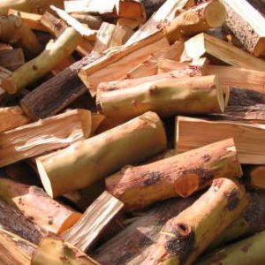 Madrone wood