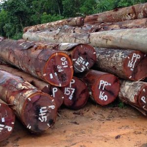 purpleheart timber